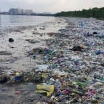 भारत में प्लास्टिक से हो रहा प्रदूषण
