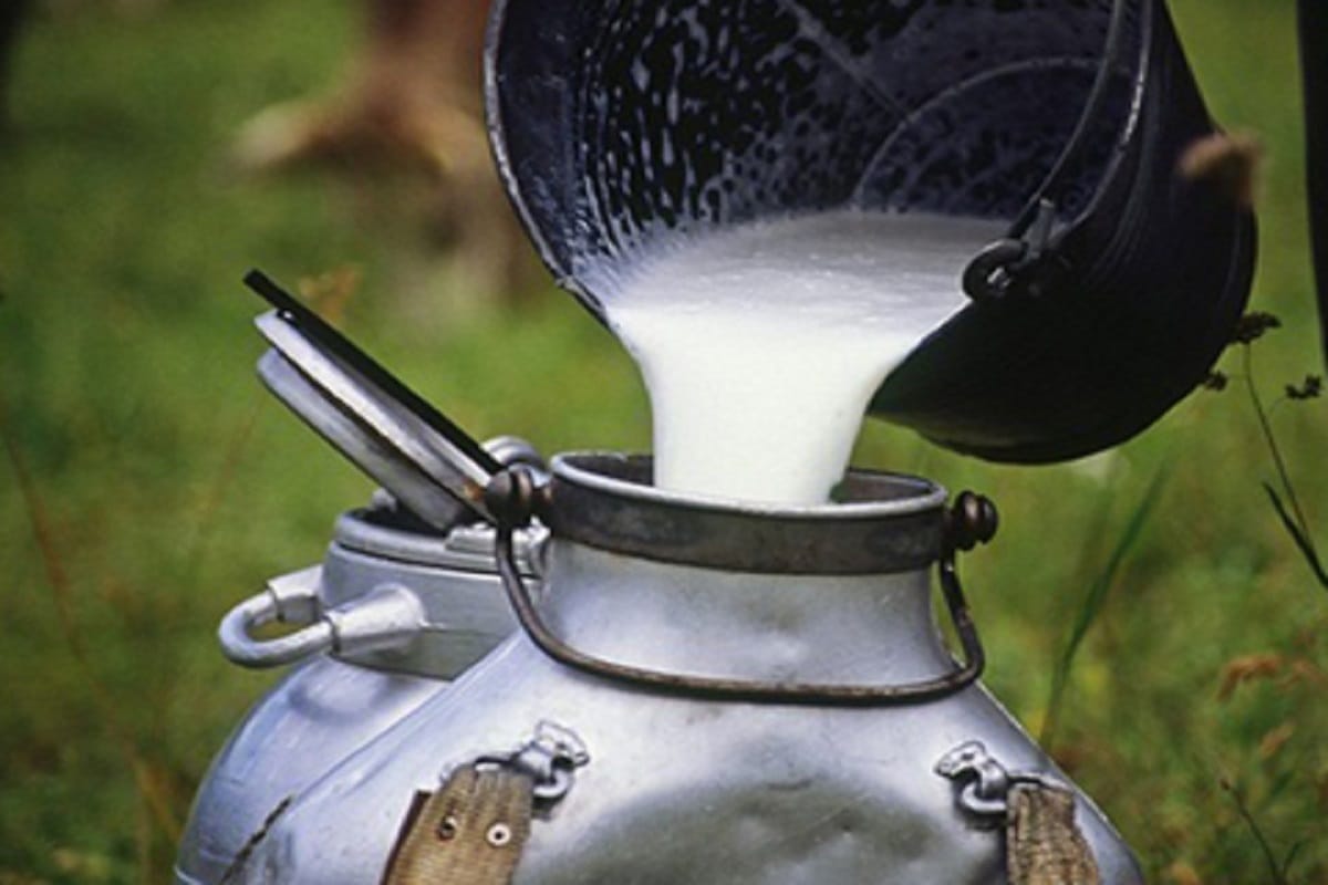 government will take care of farmers and dairy industry RCEP pact