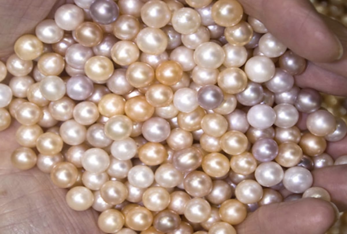 Pearl Gemstone benefits know who can wear Pearl