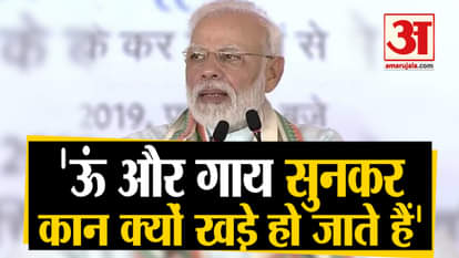 Pm narendra modi attacks opposition under pretext of cow and om Mathura veterinary university