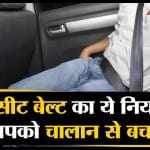 सीट बेल्ट