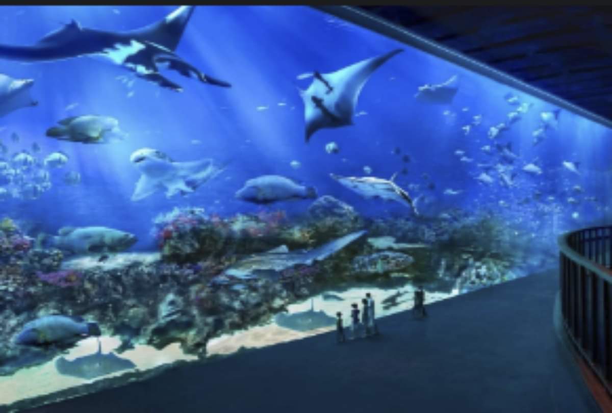 according to fengshui keep 8 fish in aquarium