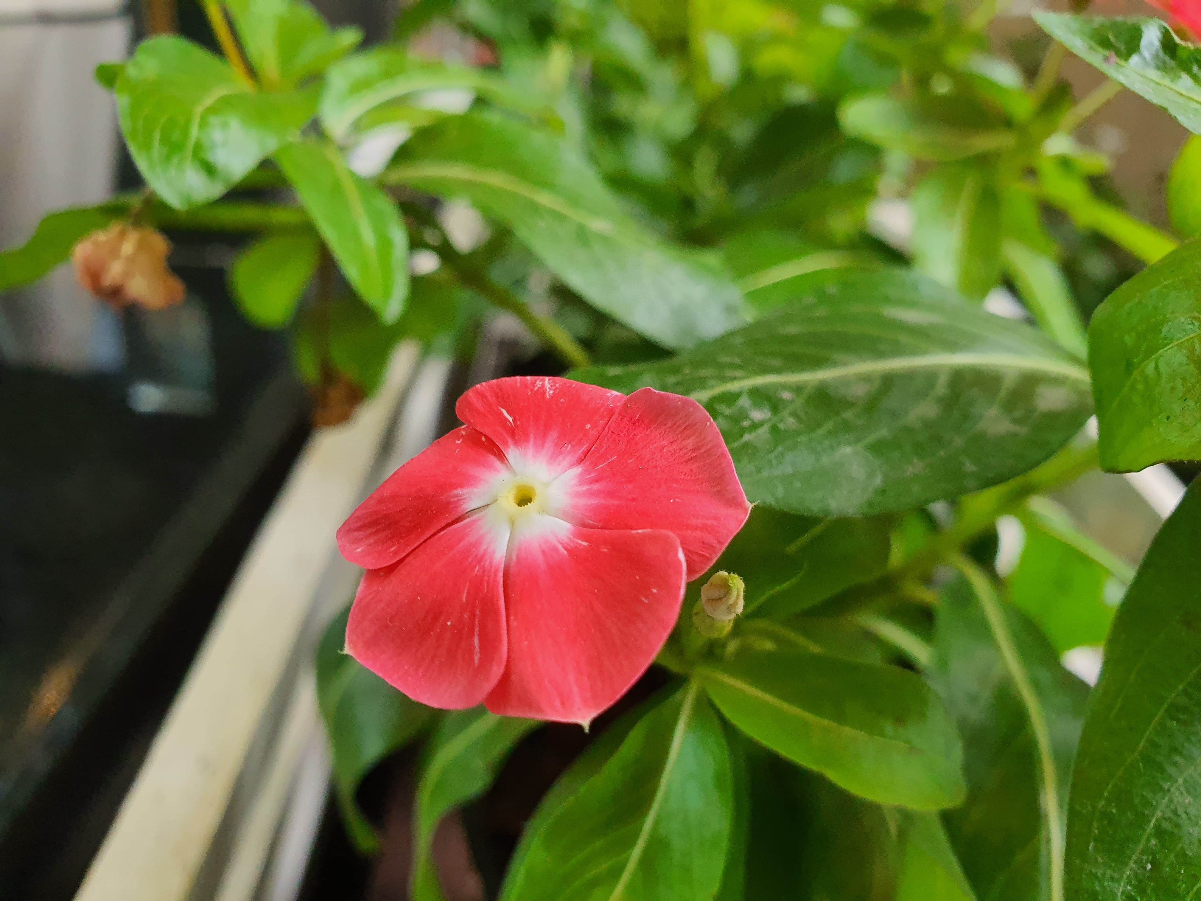 galaxy note 10 plus camera sample/F2.4