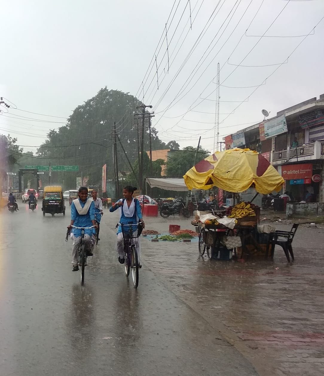 Crops get life due to rain, farmer happy