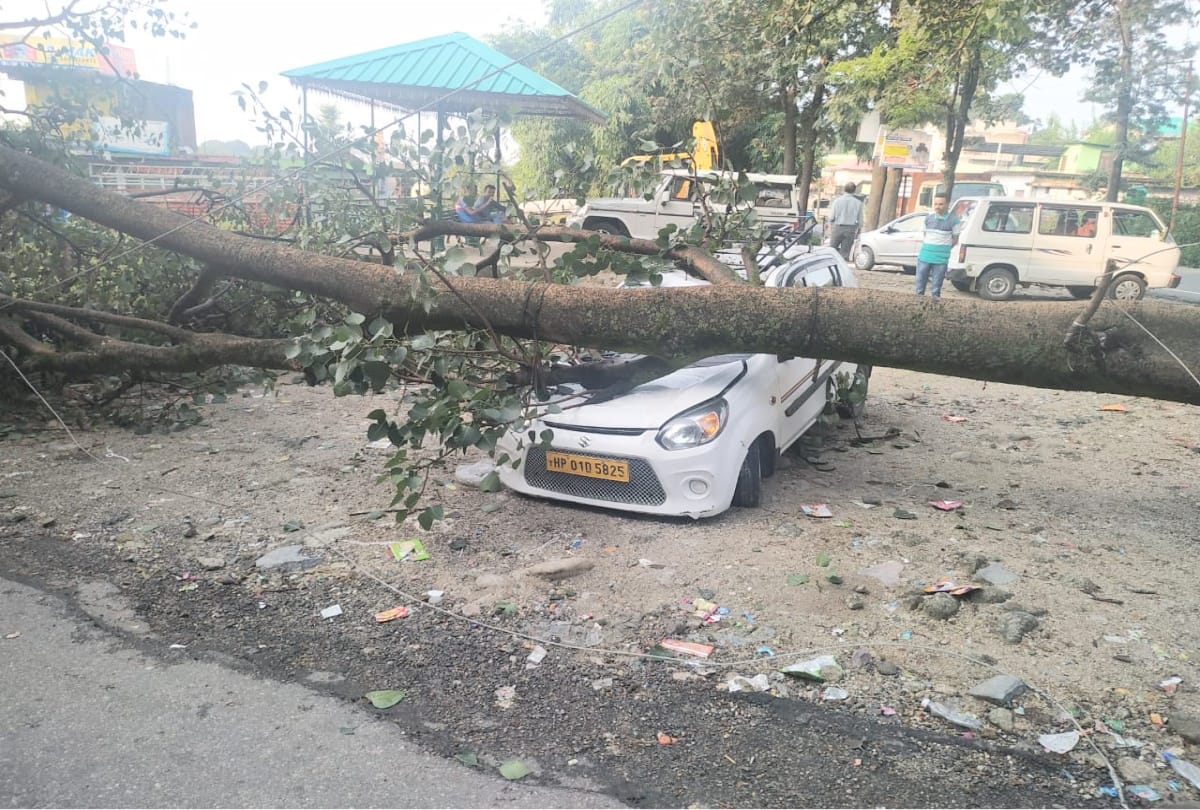 himachal weather: rainfall in kangra, tree fall and Pathankot Baijnath Rail Track suspended