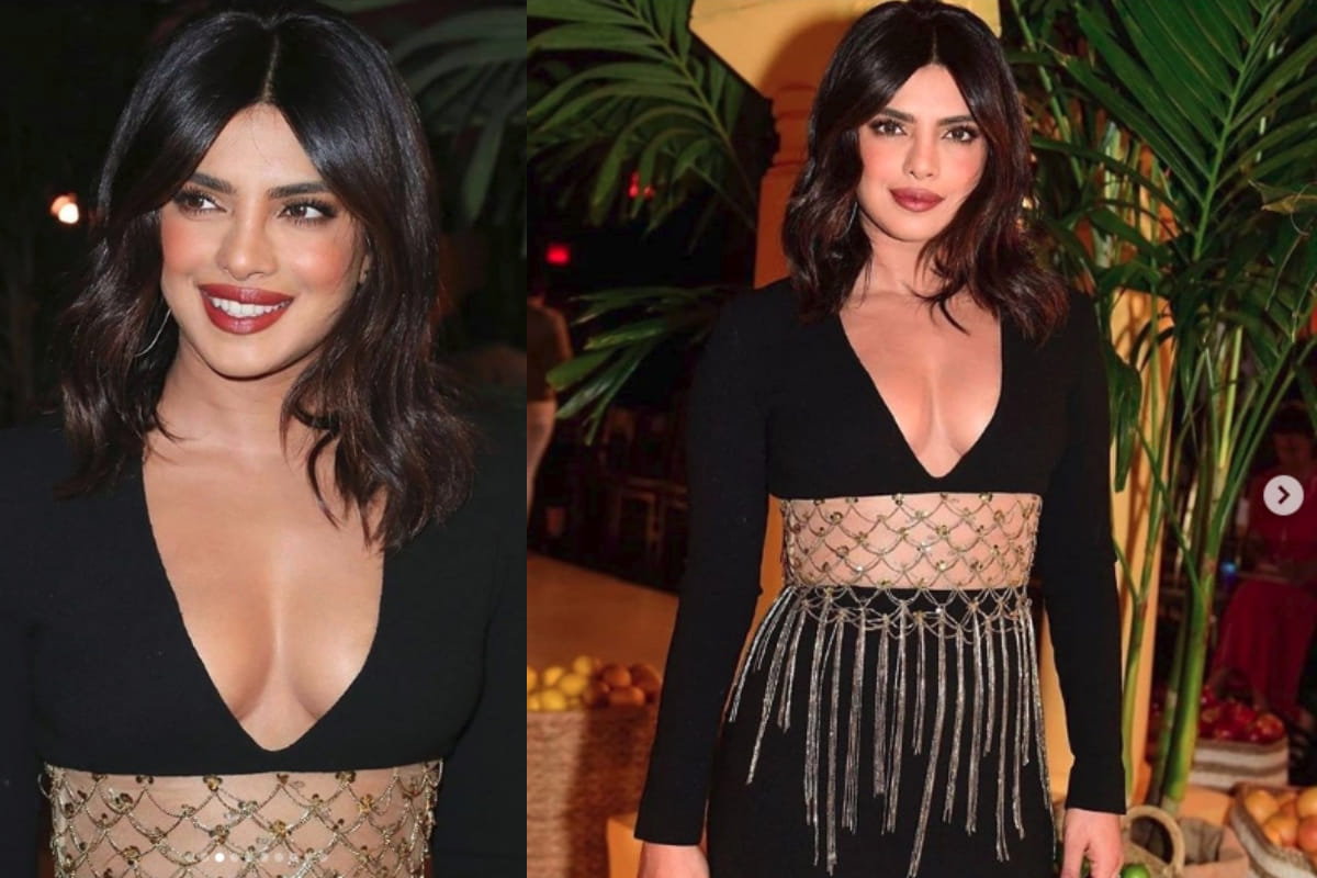 Priyanka Chopra Rajkummar Rao Are Prepping For Netflix The White Tiger