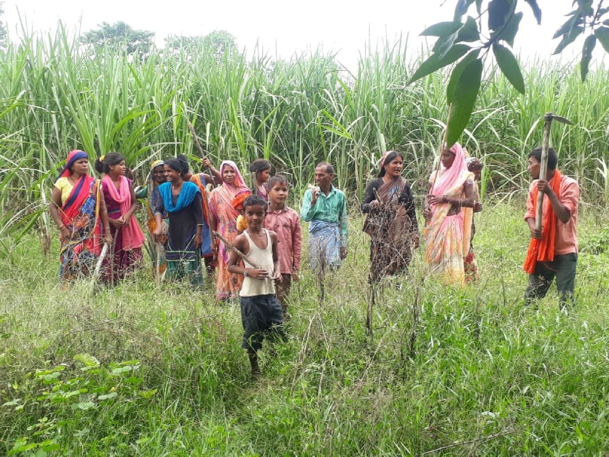 Leopard ran woman to farm