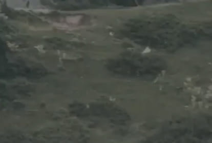 Indian Army killed two Pakistani soldiers in Retaliation to Unprovoked Ceasefire Violation