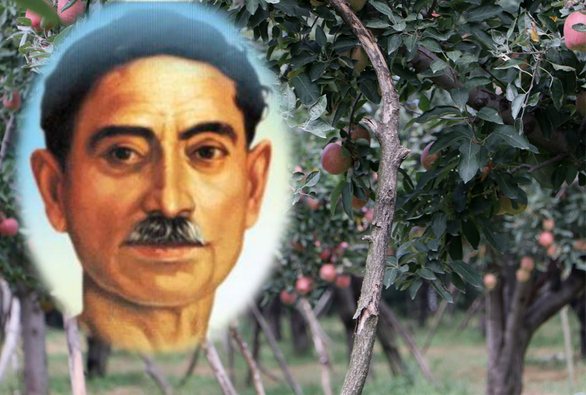 Hindi diwas 2019: Story of Kashmiri seb by Munshi Premchand
