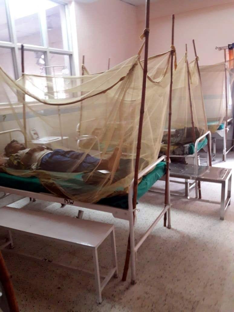 Dengue confirmed in three including two real brothers