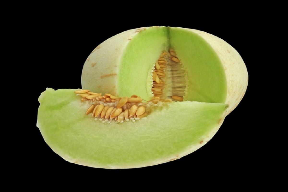 4 seeds that boost metabolism system in body