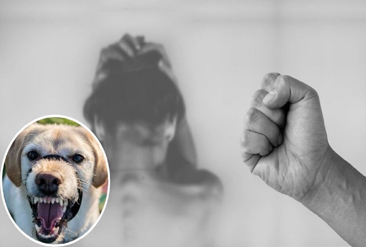 mexican gang torture to criminal by pitbull video viral on social media