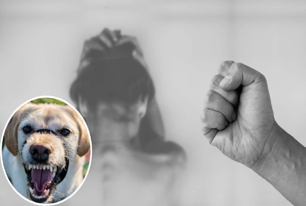 mexican gang torture to criminal by pitbull video viral on social media