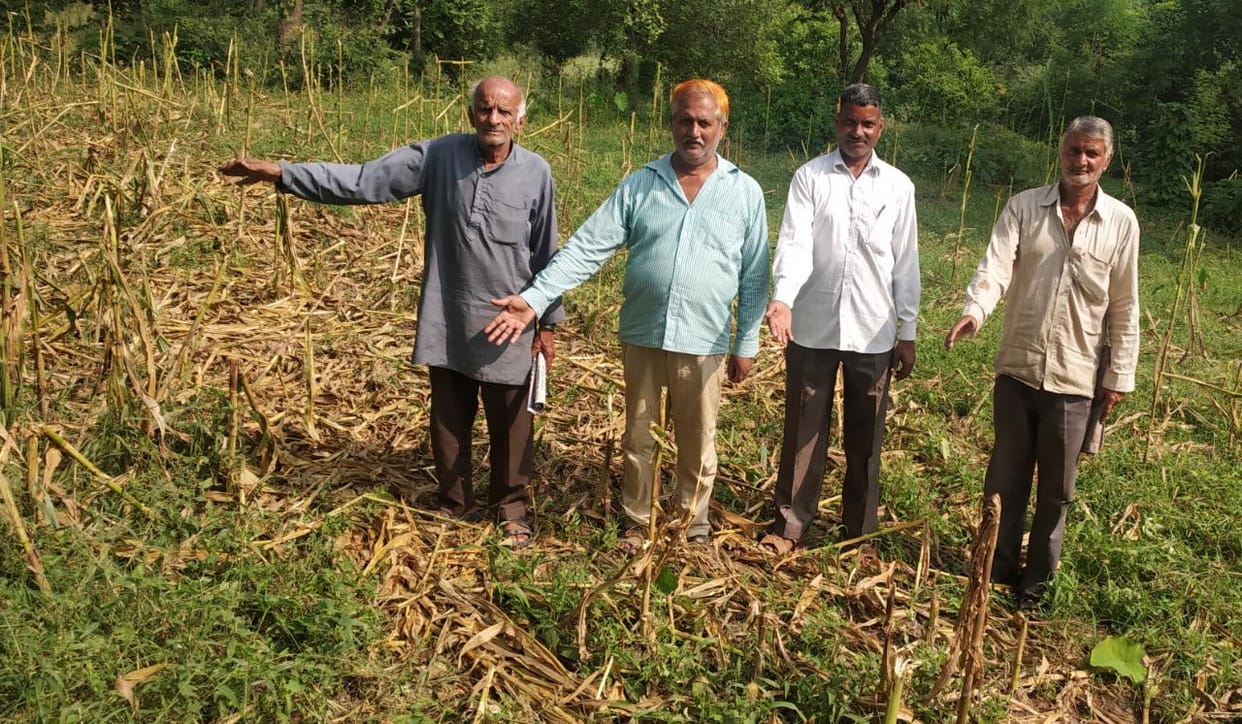 agriculture