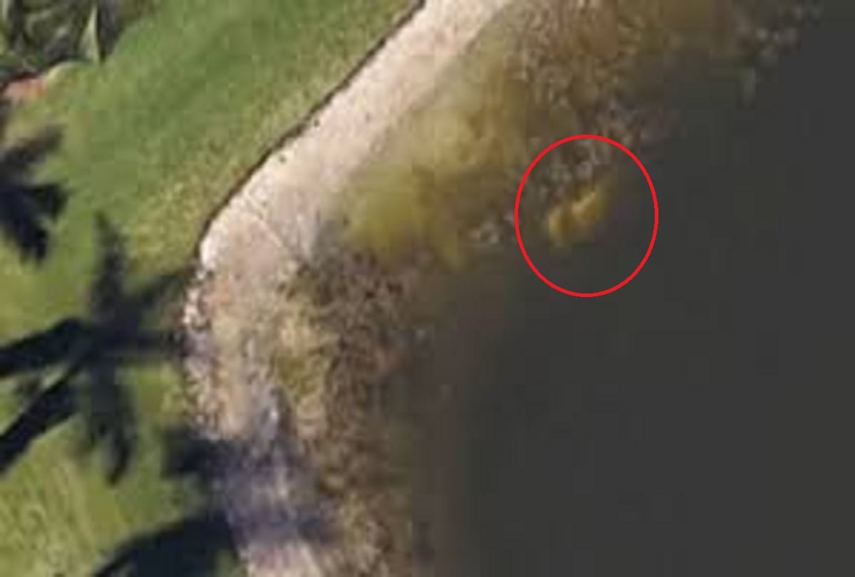 Google Maps helps solve 22 year cold case after body found submerged in pond