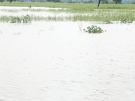 flood