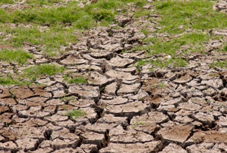 Weather Update, Less rainfall In 14 districts of Haryana
