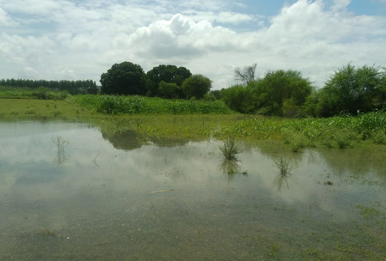 Yamuna water level rising again