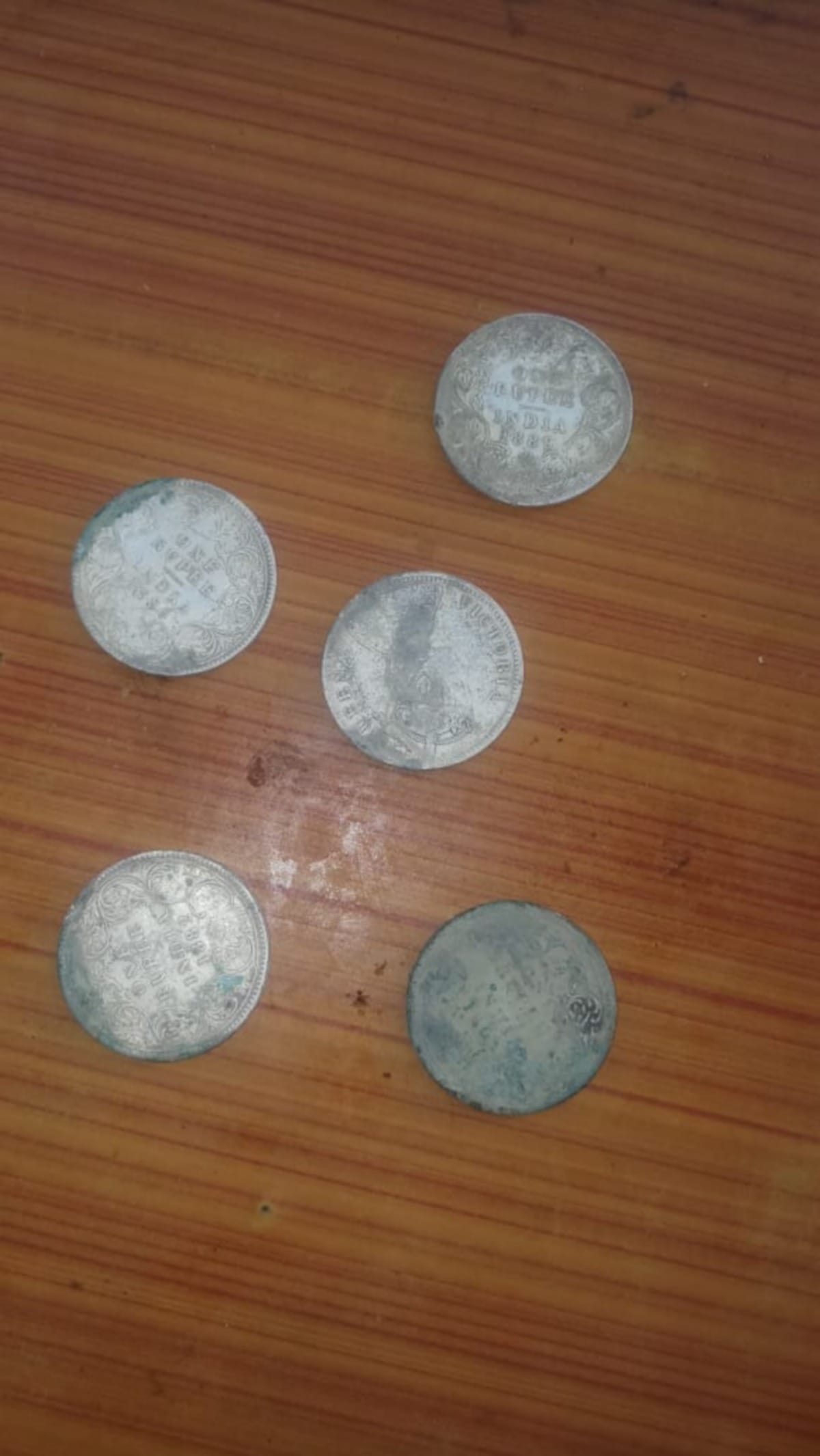 140 year old silver coins found in excavation During reign of Queen Victoria in varanasi