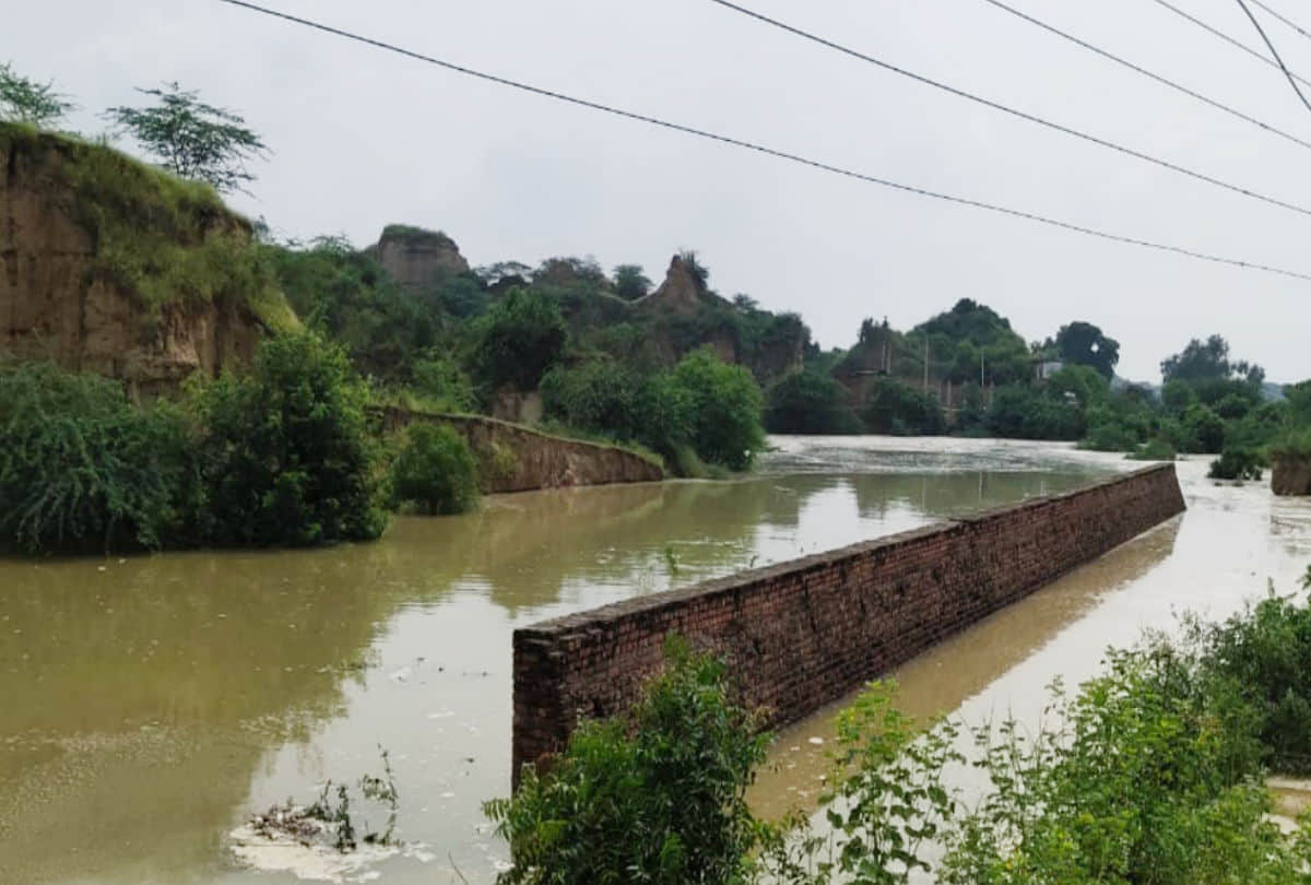 flood in chambal river due to water level crossed the danger mark
