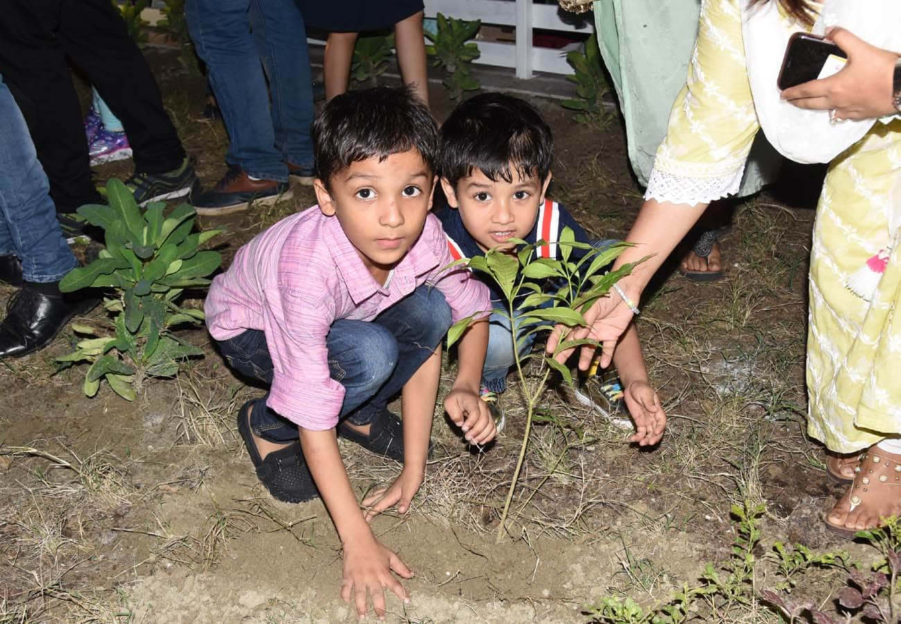 150 feet green belt built in Ganga barrage kanpur