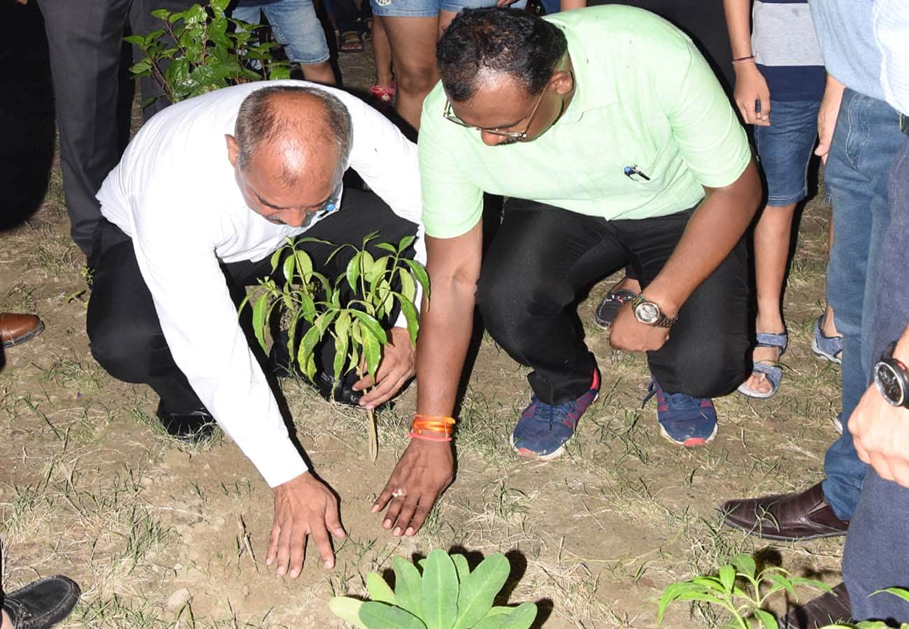 150 feet green belt built in Ganga barrage kanpur