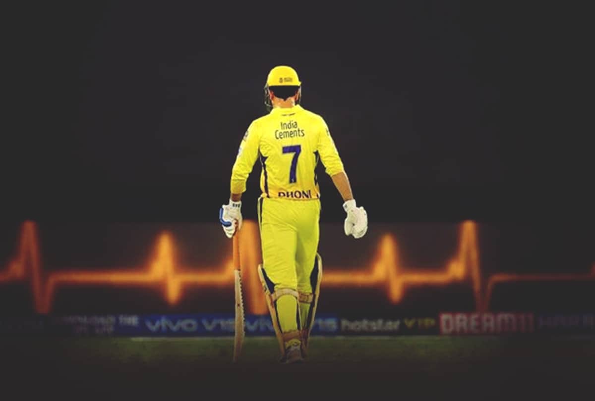 What is MS Dhoni future with Indian cricket and Chennai Super Kings explains N Srinivasan