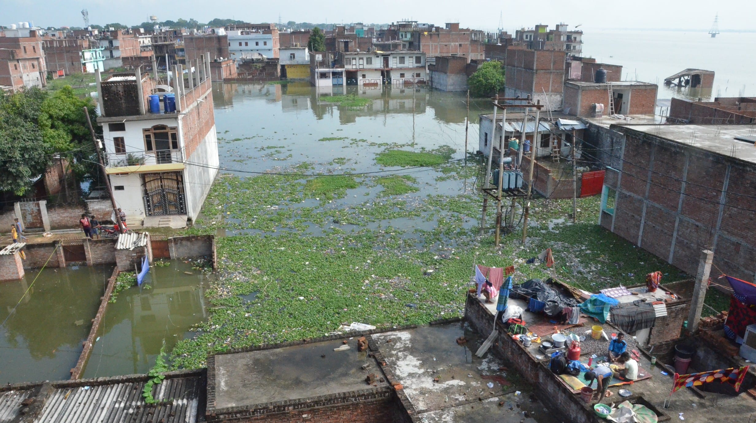 Prayagraj News: Boats on the roads, thousands of homeless