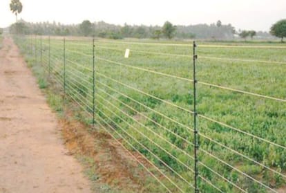 shimla: now Monkeys even mice and squirrels will not be able to destroy the crop
