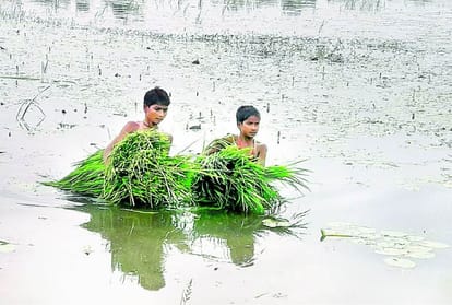 water level down in ghaghara in barabanki but many villages still under water