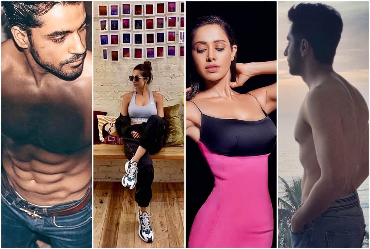 Instagram Posts of Gautam Gulati Ayushmann Khurrana Arjun Kapoor Nushrat Bharucha Malaika Arora