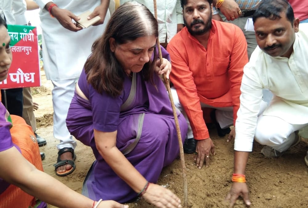 Menka Gandhi celebrated birthday of PM Narendra Modi.