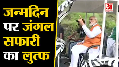 PM Modi enjoys Jungle Safari in Gujarat on his 69th Birthday