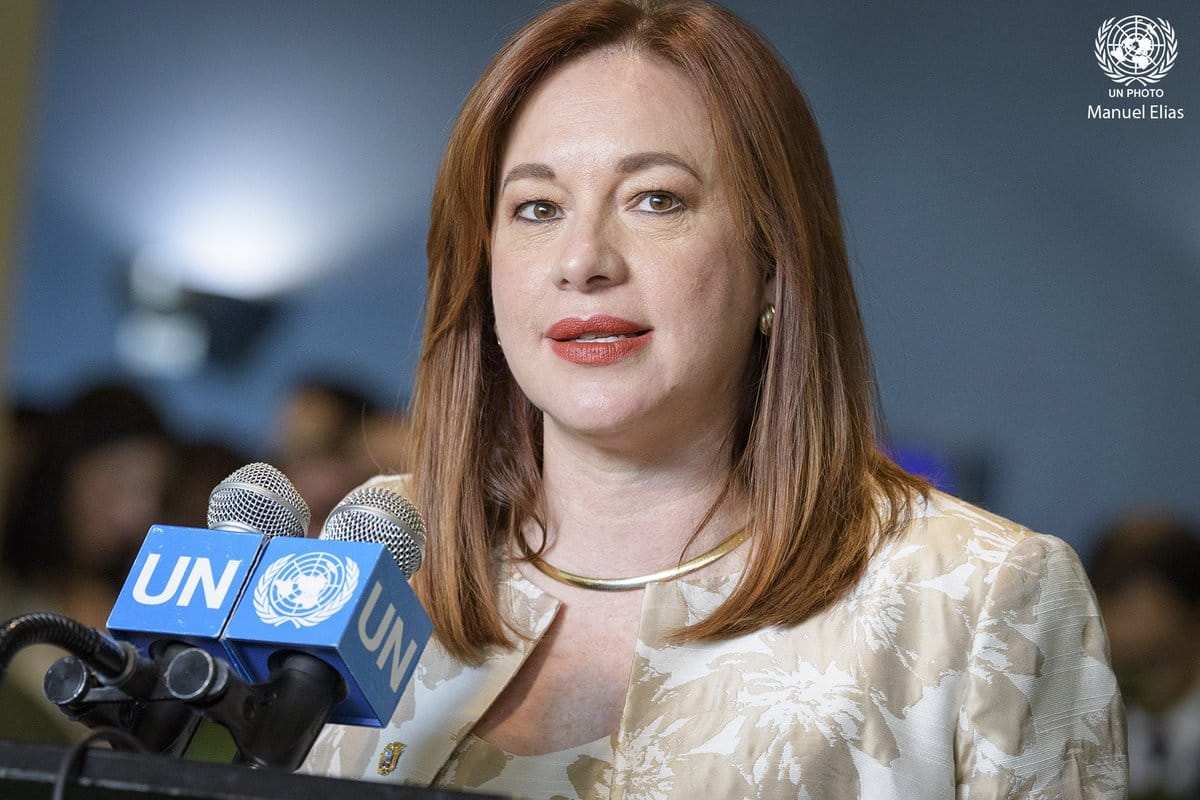 Maria Fernanda Espinosa calls Security Council reforms extremely important