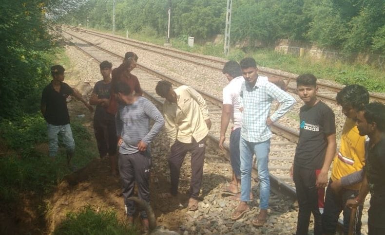 a young man cut dead frome the train