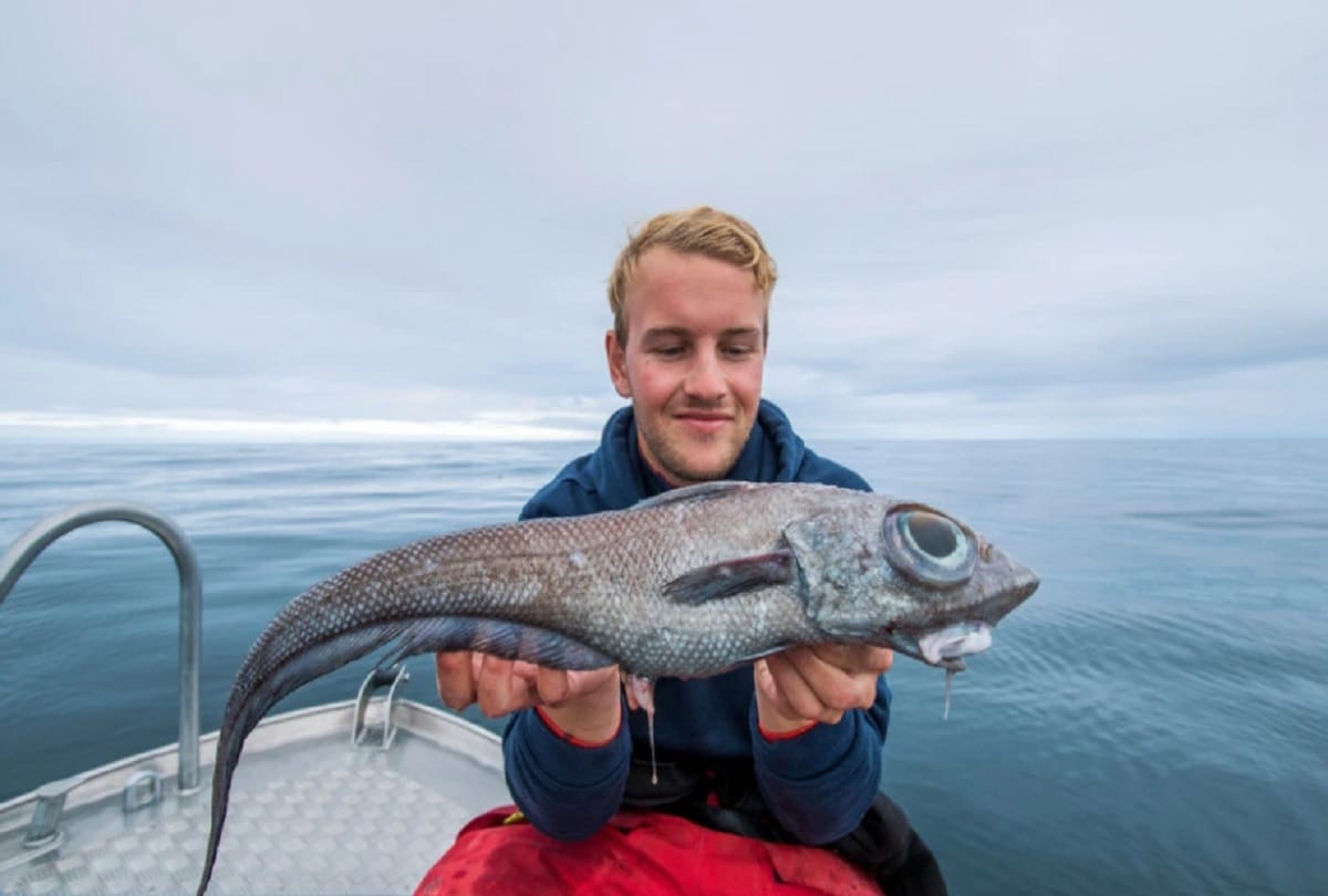 Dinosaur like fish with giant eyes found on the coast of Norway