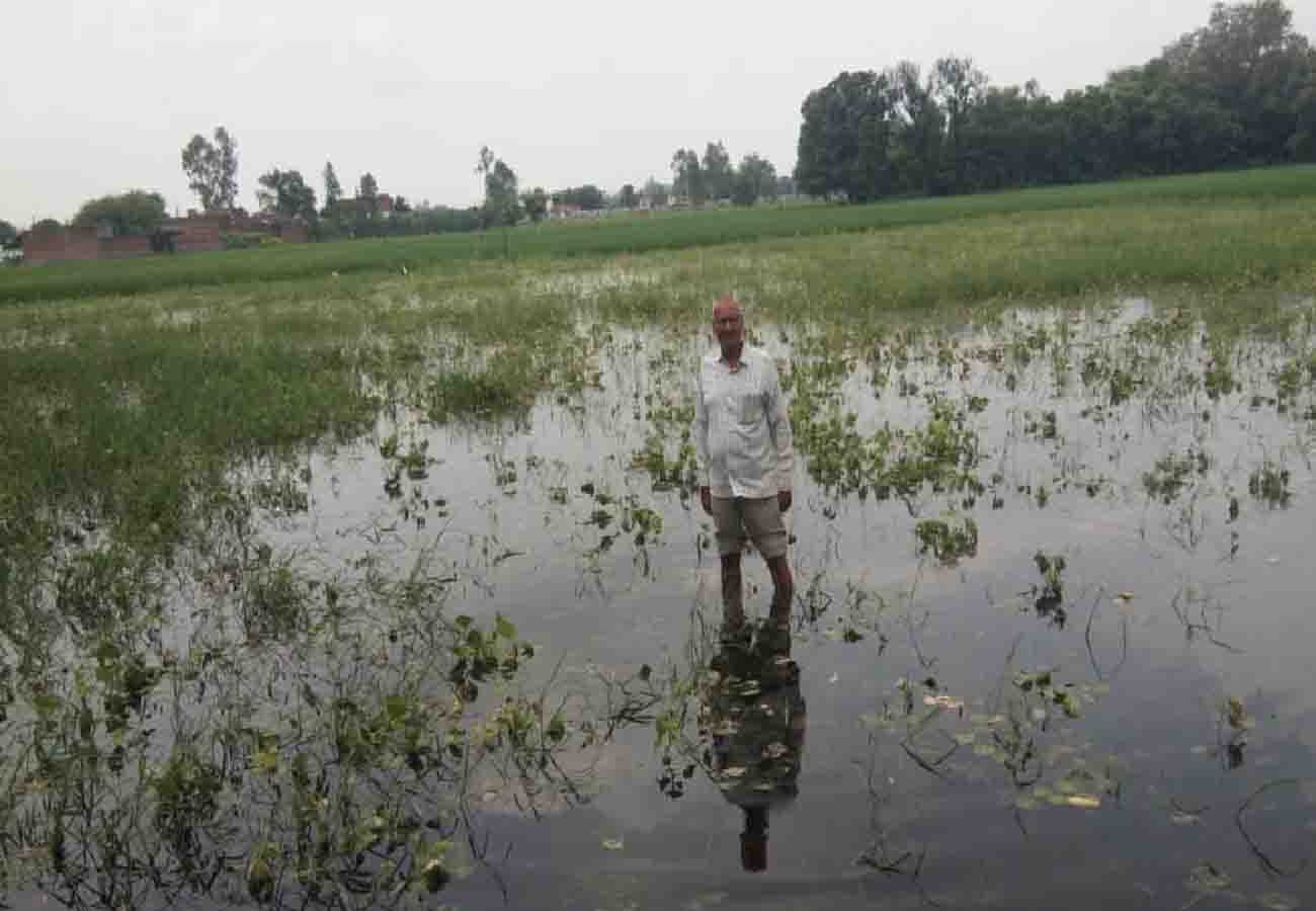 Yamuna rising water level made trouble for people in up