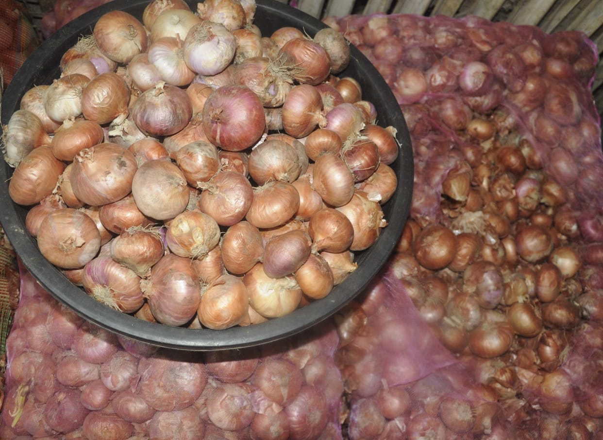 Onion extracting tears in eight days