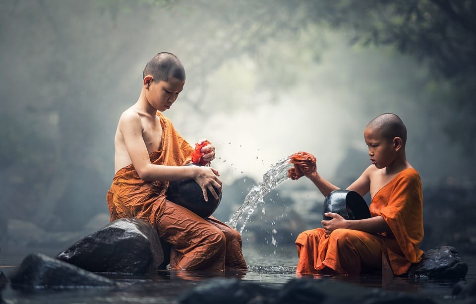 water importance for humans and living organisms