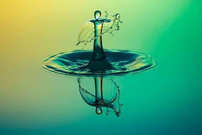 water importance for humans and living organisms