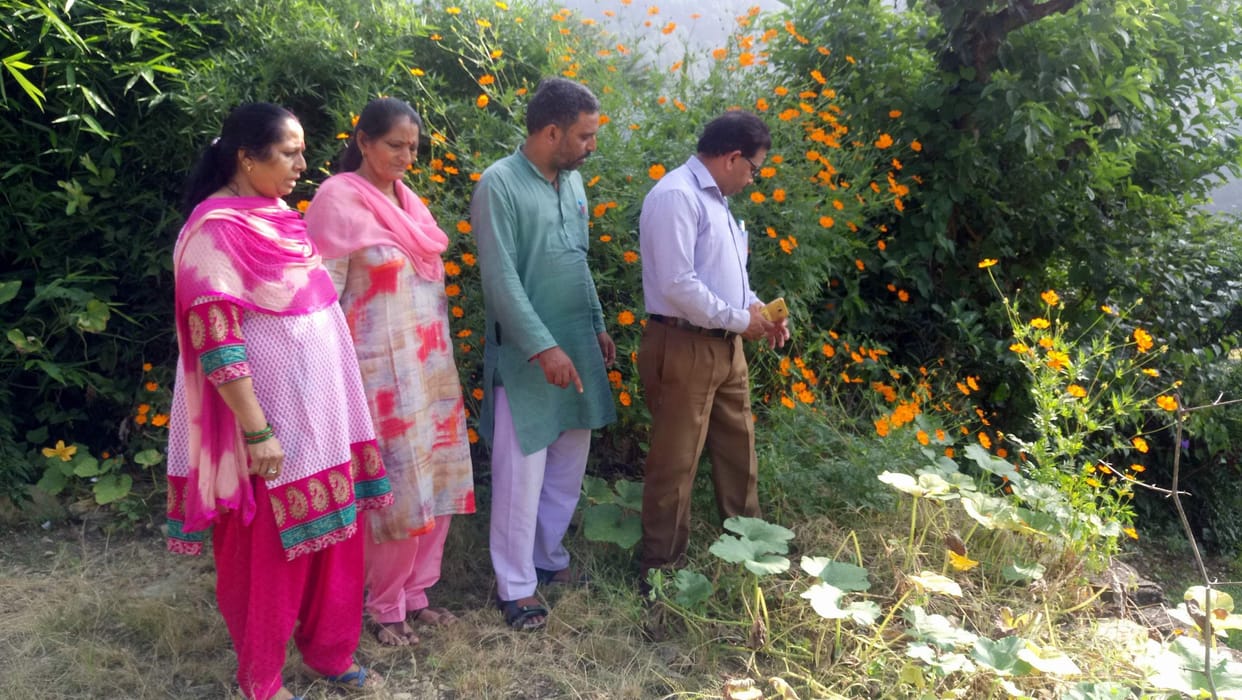 Vegetables started being produced by seeds bombed four months ago