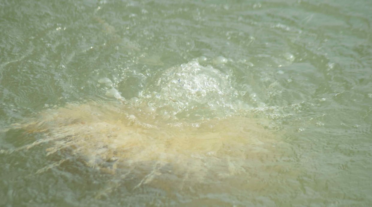 Cylinder leak of 9 quintal chlorine gas in water treatment plant, chaos