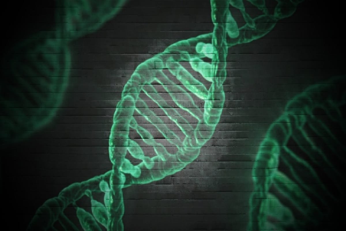 now common cold may be cure with newly identified protein
