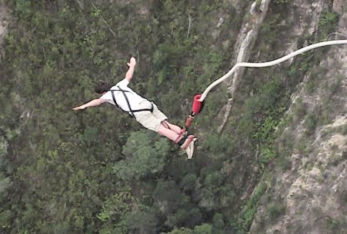 coronavirus free new zealand interesting facts which you would hardly know