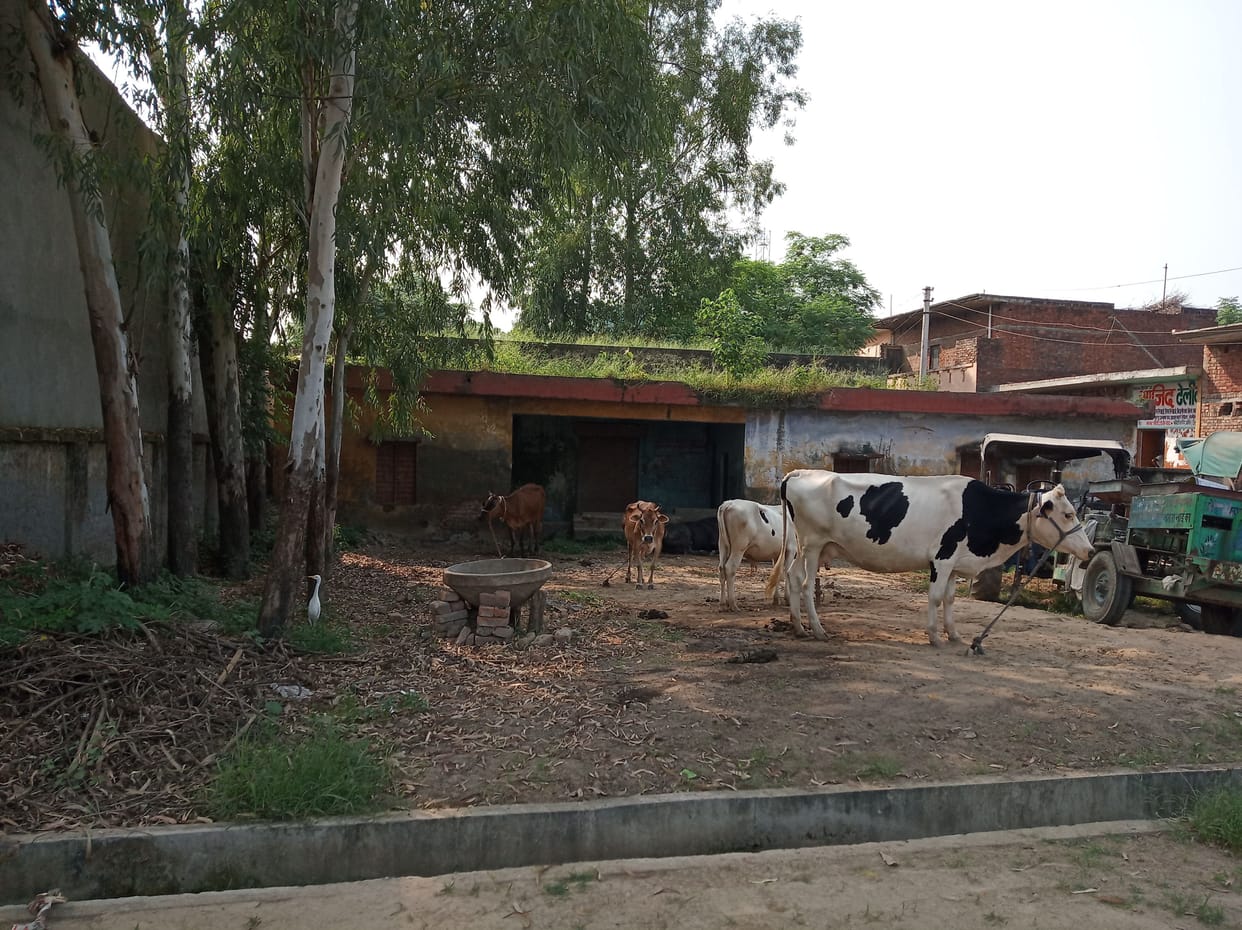 Fertilizer Warehouse of Morena Cooperative Society