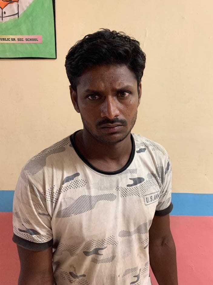 Mahawat arrested for escaping Delhi's only surviving Hathini Laxmi