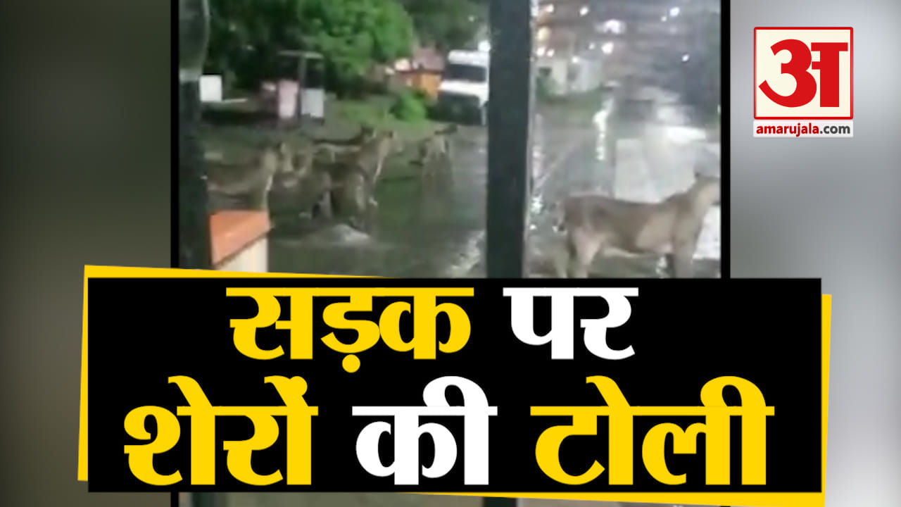 शेर