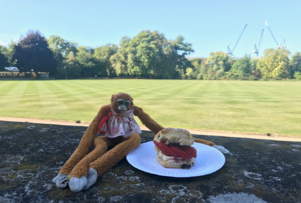 Missing Toy Monkey Found at Buckingham Palace Returned Queen Elizabeth II