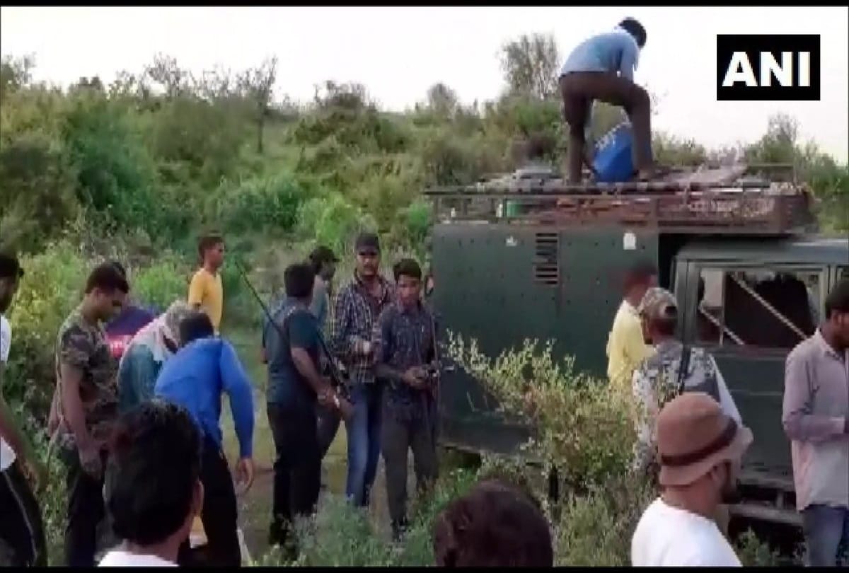 Rajasthan Forest Department tranquilized and captured a tiger from Chainpura village in Karauli