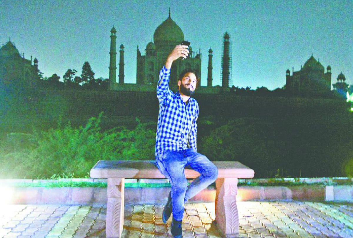 Green Tree Cut Near Tajmahal